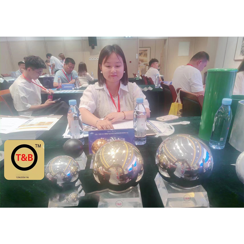 Bearing Assembly Steel Ball
